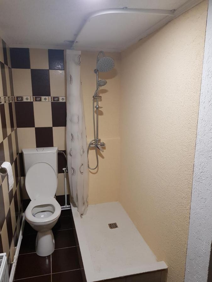 Casa Gina Apartment Arad Bagian luar foto